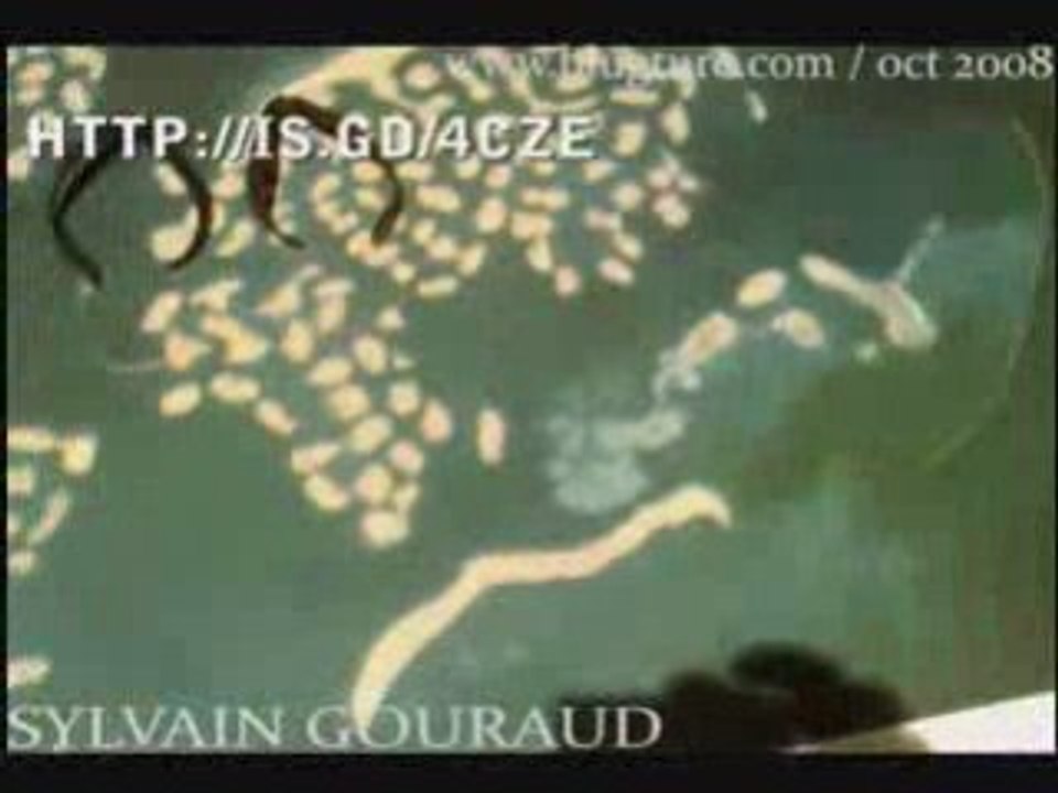 3eme Planete Exposition autour de Google Earth