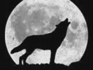 Sentenced-Excuse Me While I Kill Myself