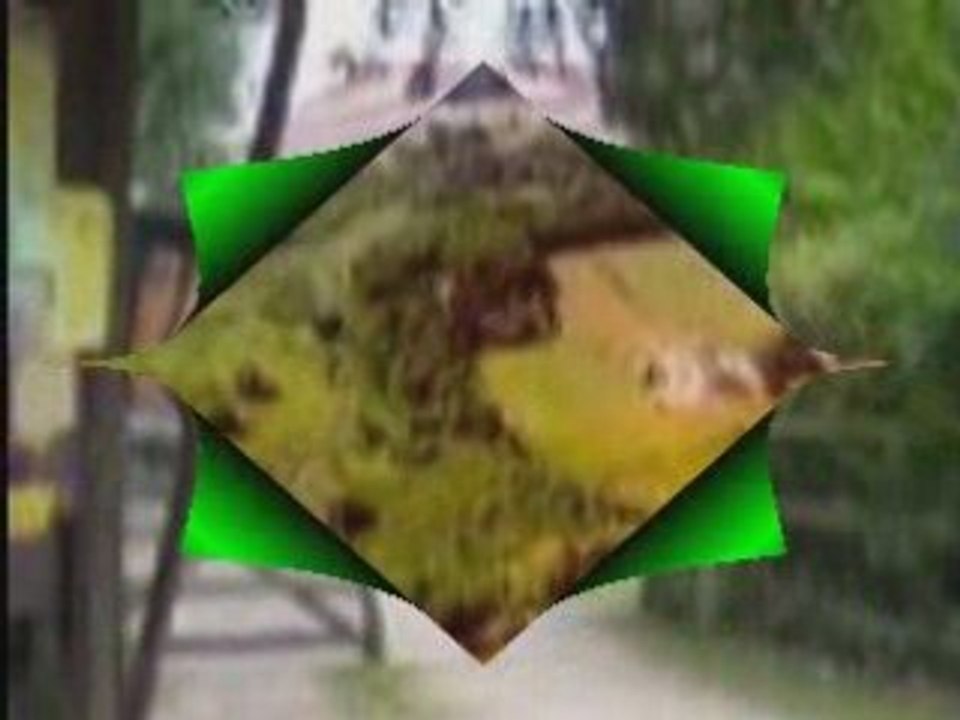 How to Save Fuel for the Sake of our Environment and World