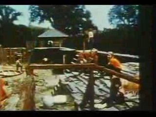 森林警備隊　ＯＰ