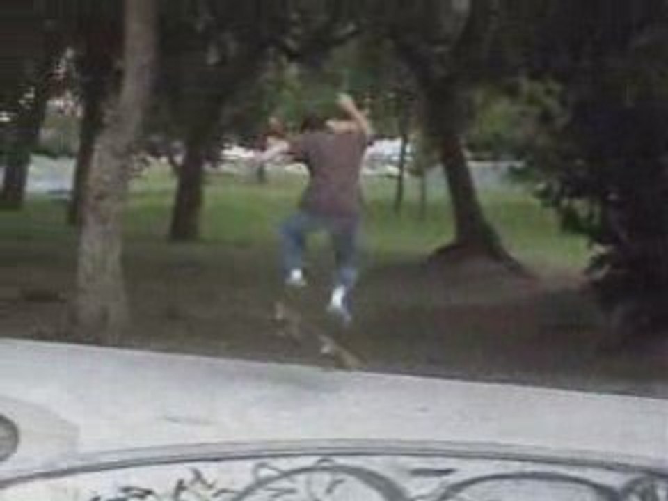 Skate a tarnos