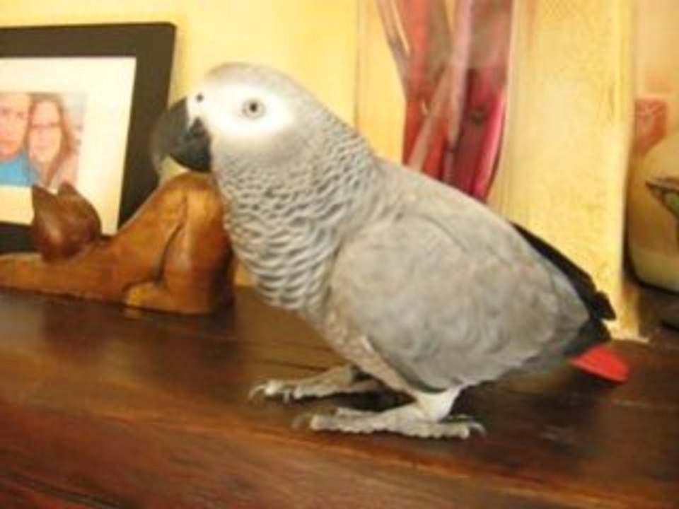 MVI_2398