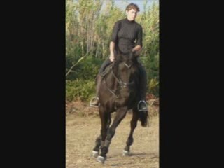 Si je pouvais te dire