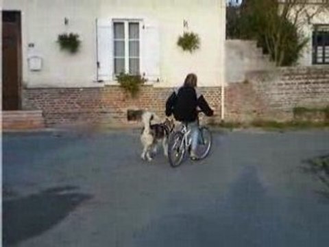 Les débuts de Fancy en Cani-VTT