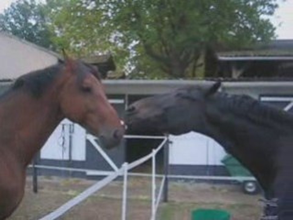 FRIENDS
