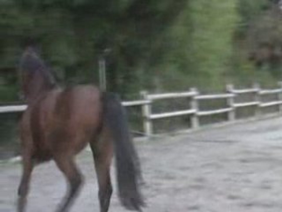 Sourire longe octobre 2008 2 ans