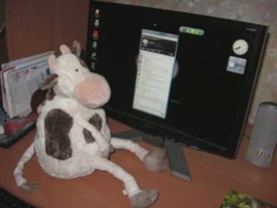 Vache