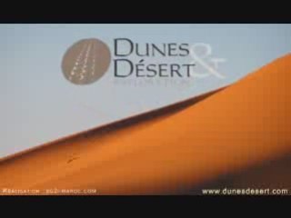 Dunes desert