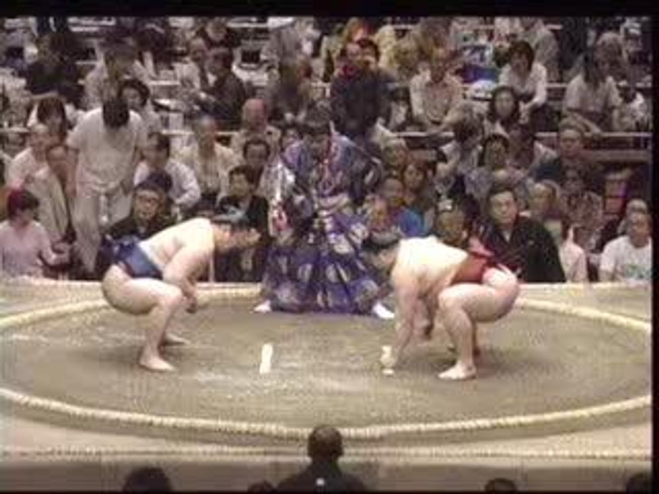Prise de sumo: Oshidashi
