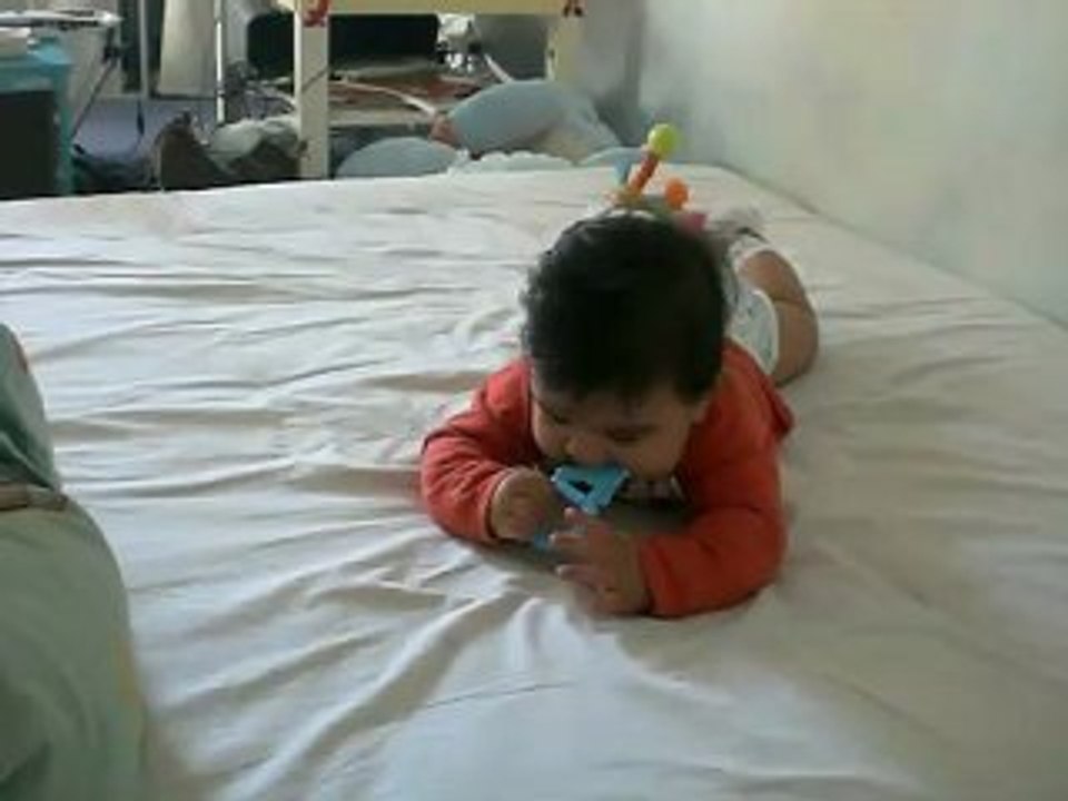 raphael paufine la technique