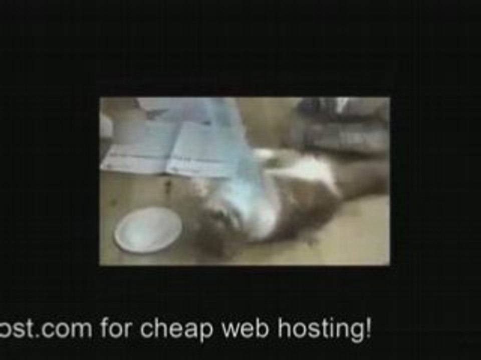 hosting