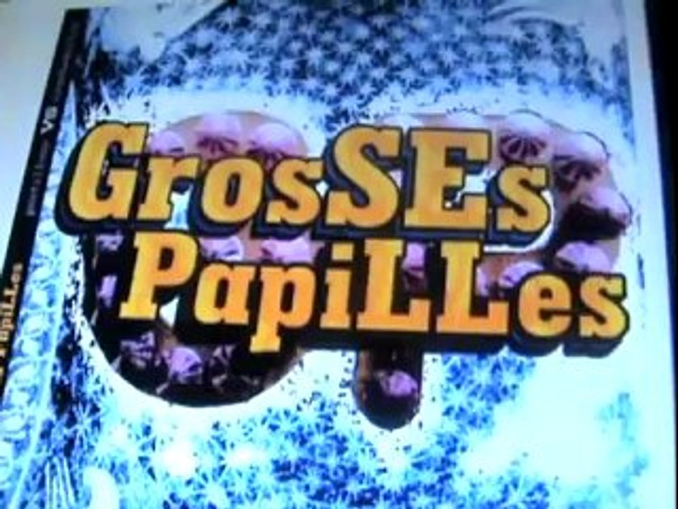 GROSSES PAPILLES STUDIO