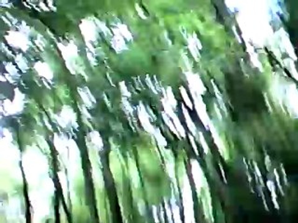 sorti avec 300 gasgas - 1