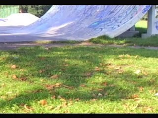 Nonstop Skateboarding By Daryl Reeves