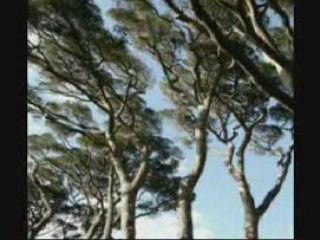 Recouvrance (Miossec)