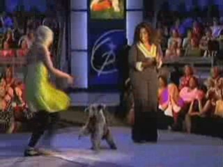 Dog Dancing to Gloria Estefan's "Conga" on Oprah