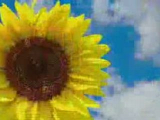 Quality Suites London Video Tour