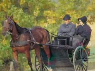 Comfort Inn Waterloo Video Tour