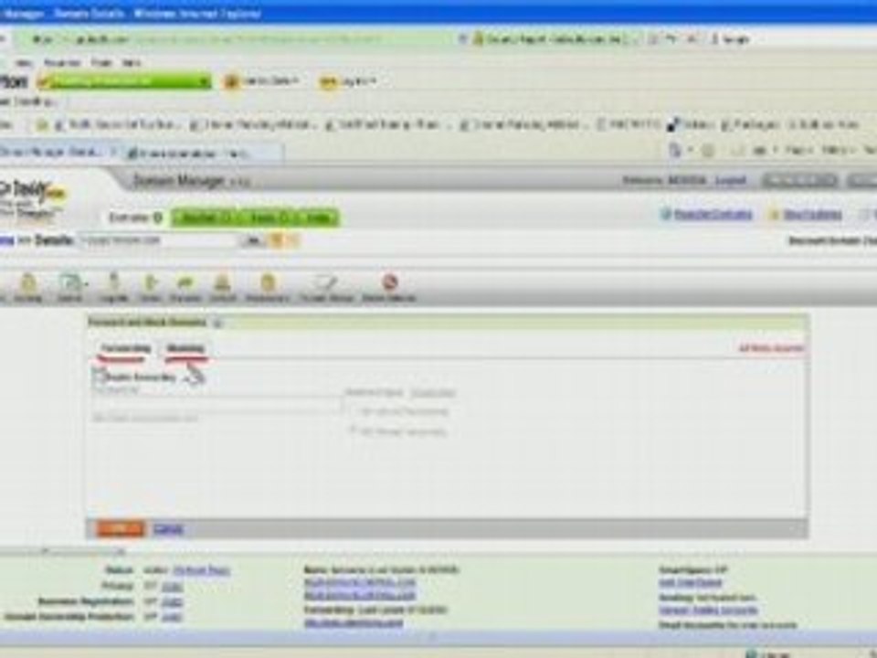 GotX - Forwarding Your Domain Name