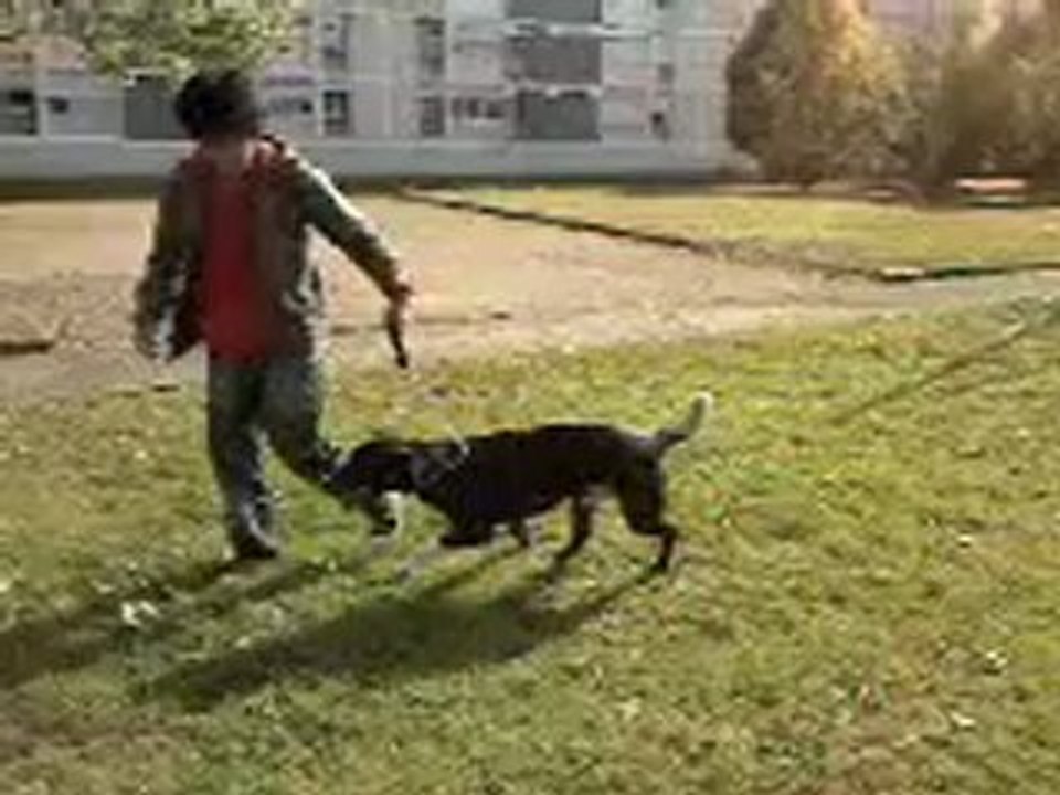 Vidéo0002