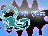 E Samba - Remix DJ VOz (Junio Jack )