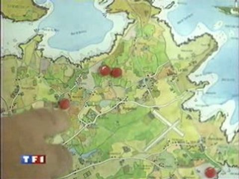 Lutte contre la disparition des abeilles !