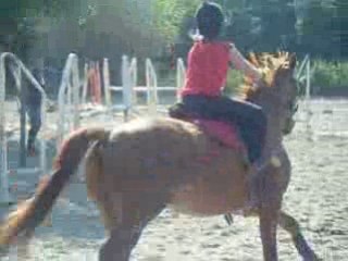 moi et calmar en saut 2