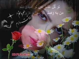 LOVER EYES  Chashm e Qashangat