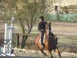 Nortan Ferme equestre de beauregard