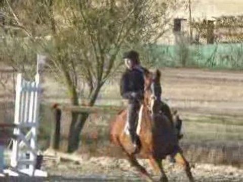 Nortan Ferme equestre de beauregard