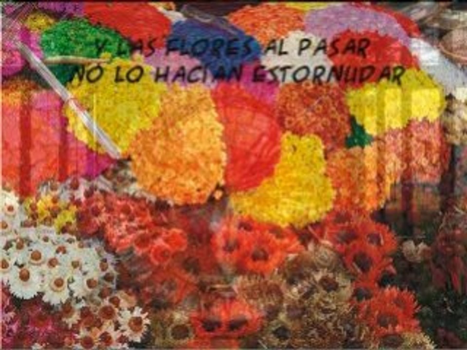 El colibri virulo