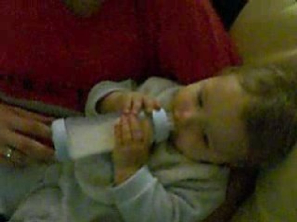 lou bib
