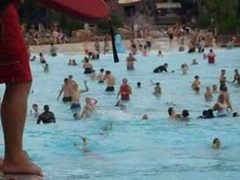 Aquaparc Disneyworld