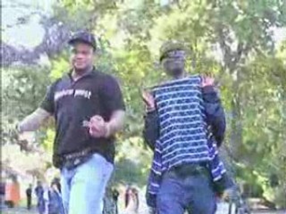 Shadow posse report baron VNR