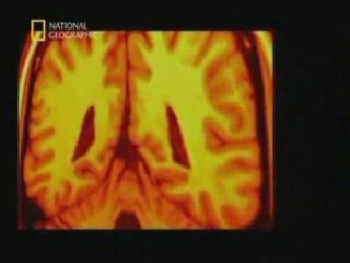 L'incroyable machine humaine  N°6