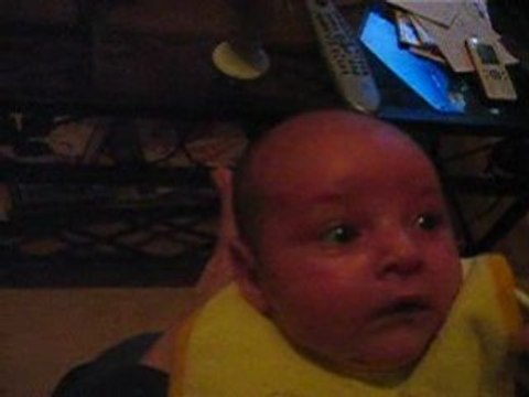 savannah mon bb d'amour