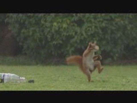 PUB - Carlsberg Sport