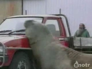 des accidents bizarre mdrrrr