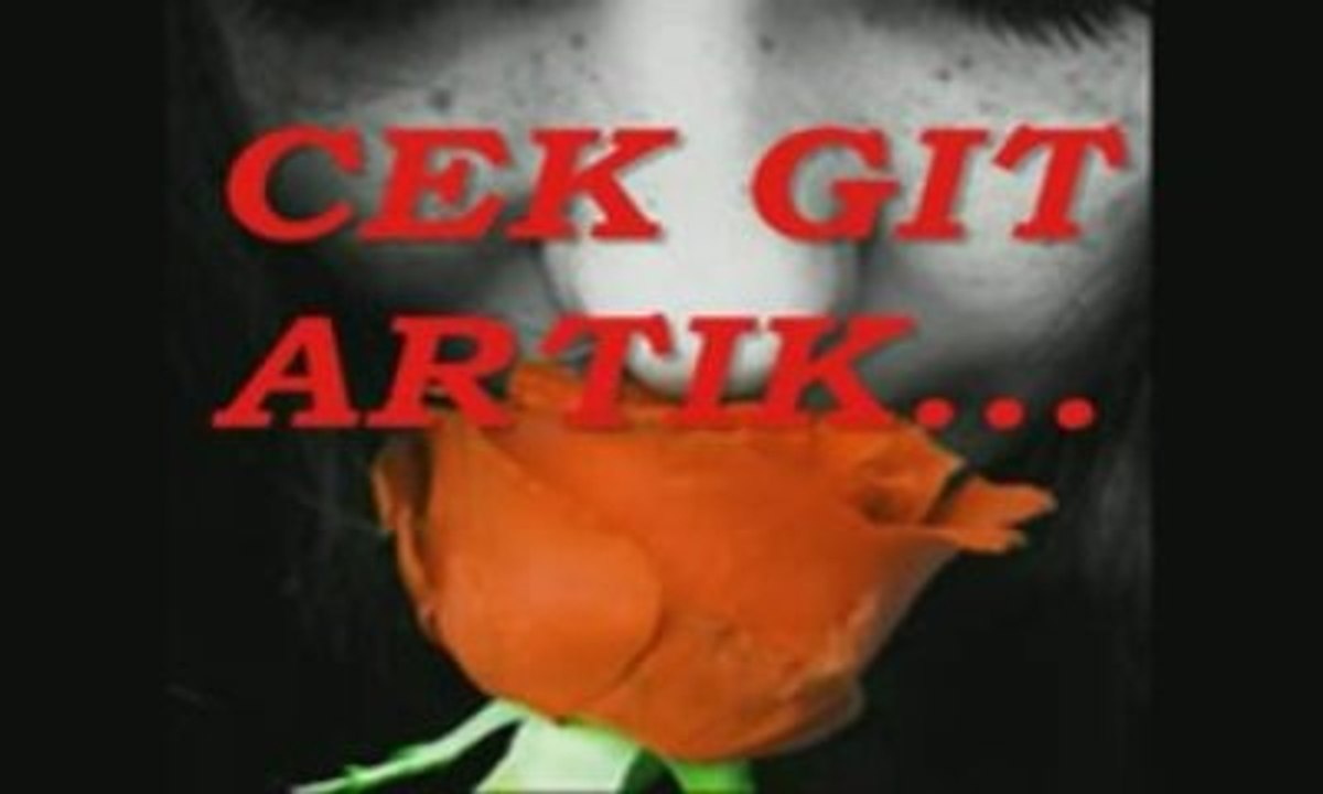Maral - şiir - Çek Git Artık