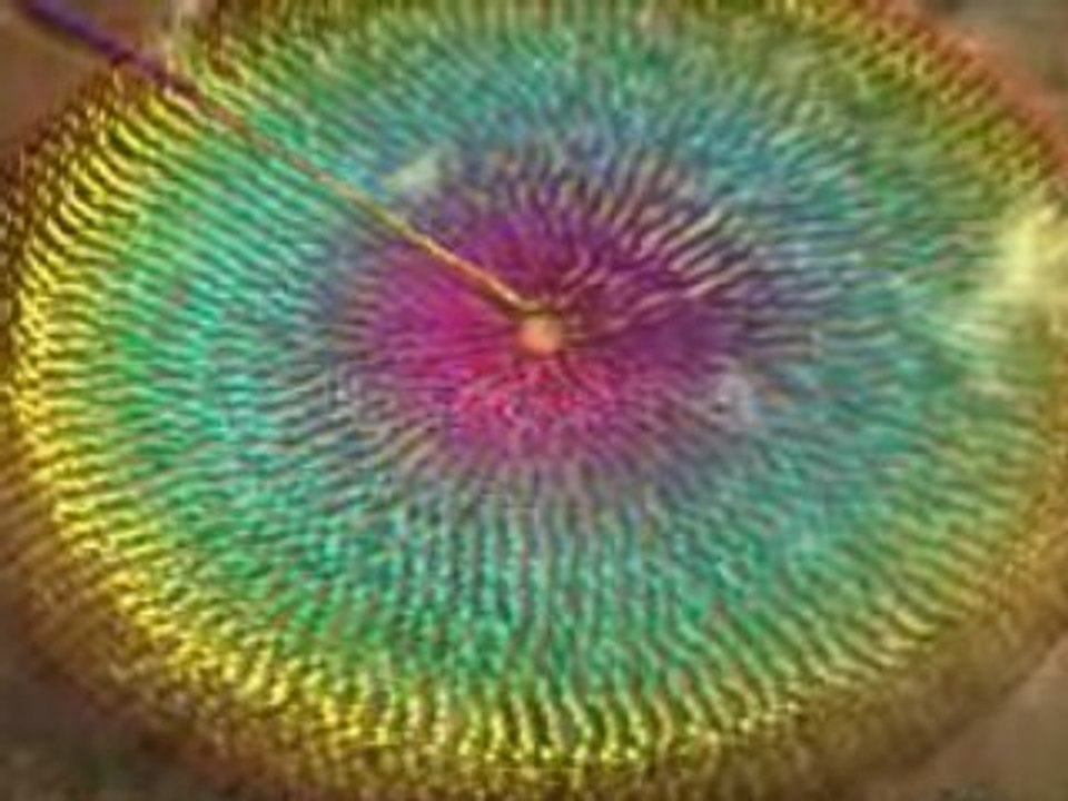 pub Sony Bravia Domino City 2008