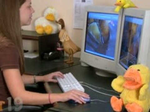 USB Optical Duck Mouse