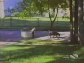 Хахаха Много Смешно