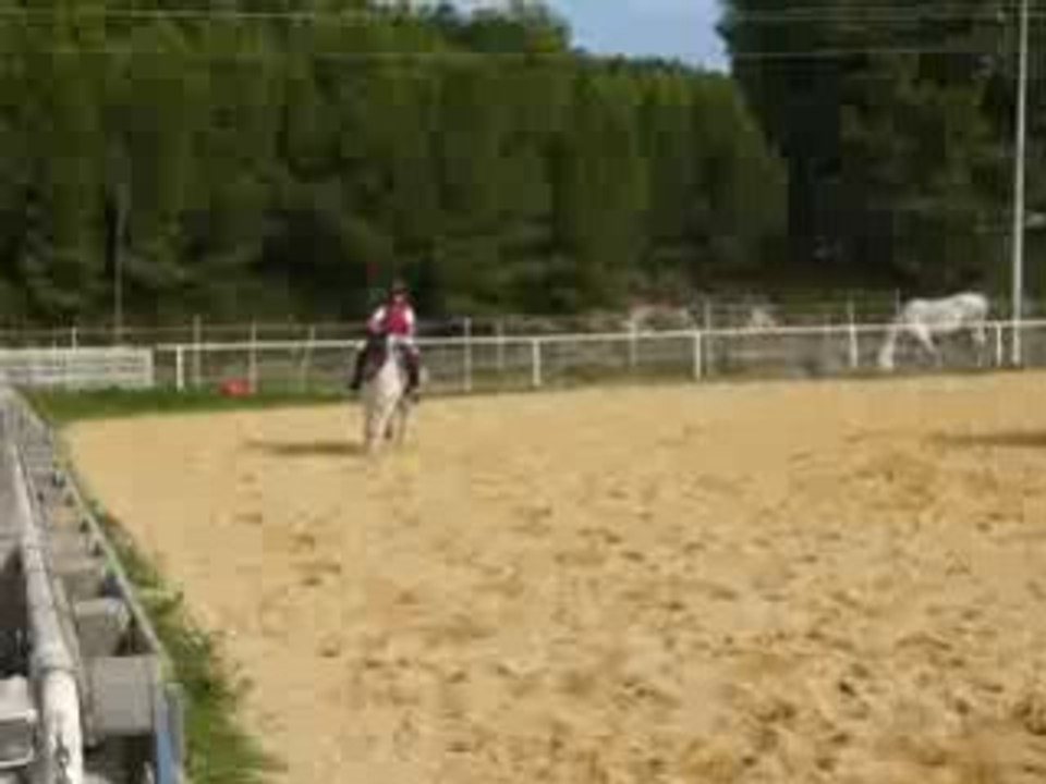 galop de quinoah