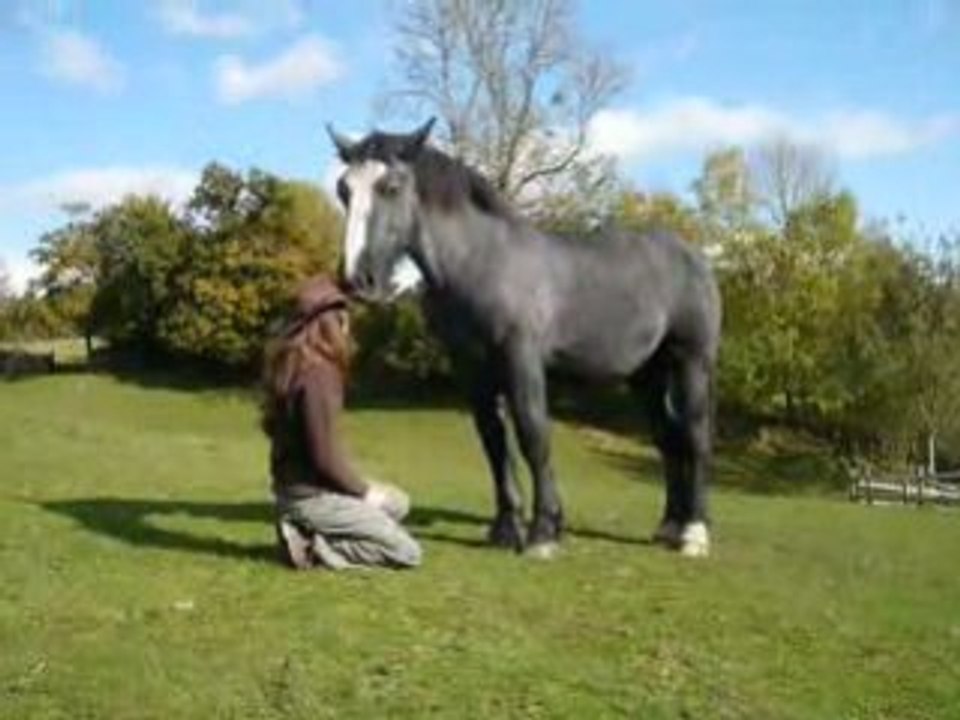 Tonerre... fait tomber le chapeau.