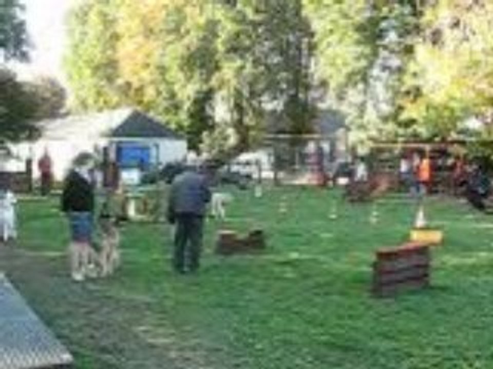 Cours n°2 confirmés du 18-10-08
