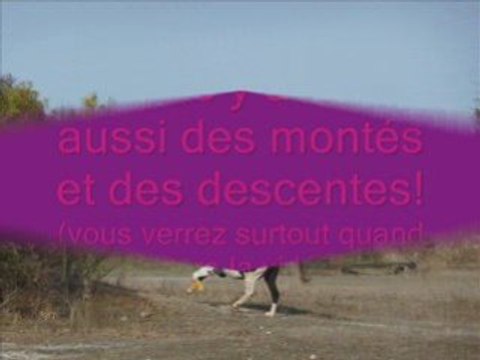 Moi et Lucky samedi 18 octobre 2008 au cross