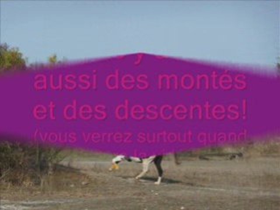 Moi et Lucky samedi 18 octobre 2008 au cross