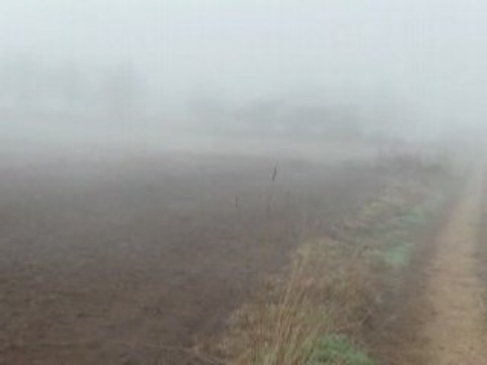 Brouillard 18 oct 08
