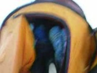 Juudas Reveille toute La Tente