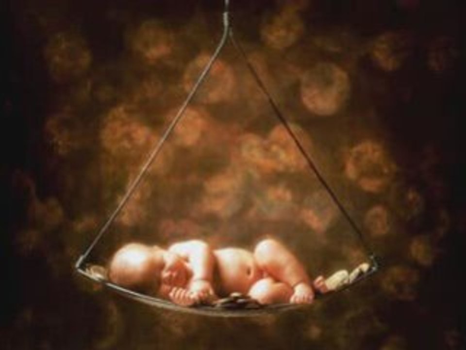 Mon fils ma bataille Balavoine